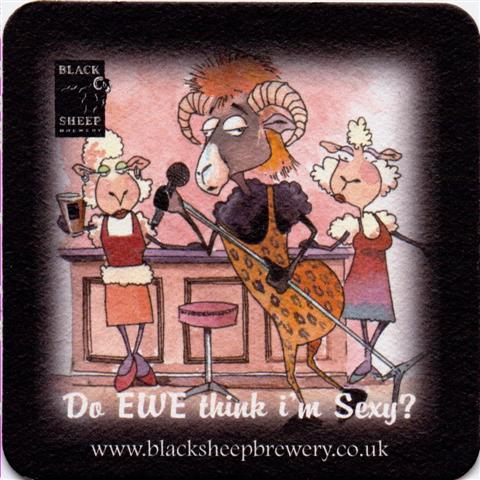 masham yh-gb black sheep quad 2a (185-do ewe) 